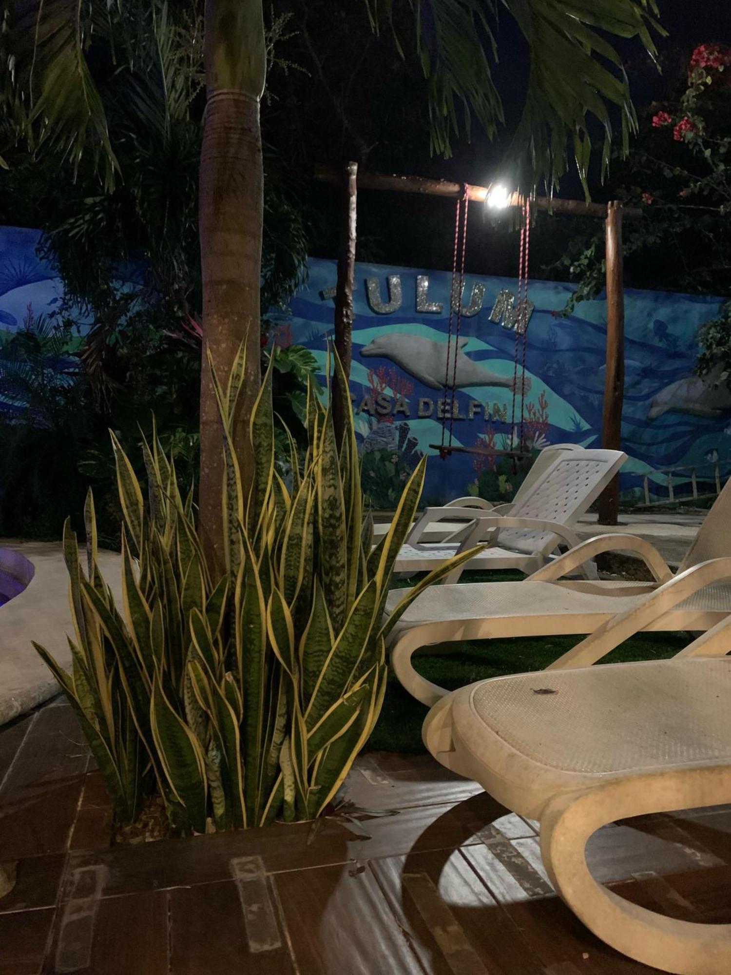 Casa Delfin Tulum Διαμέρισμα Macario Gomez Εξωτερικό φωτογραφία
